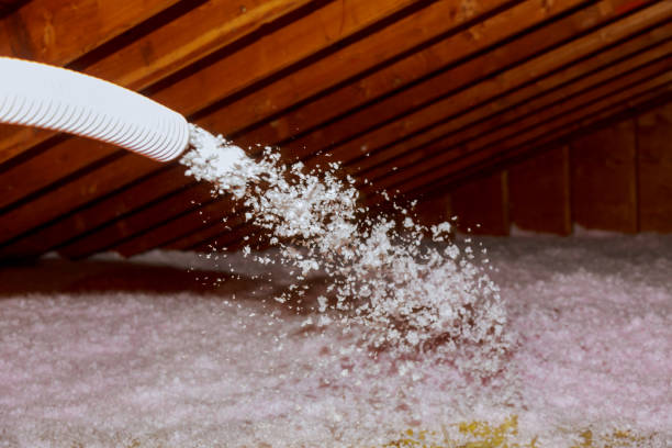 Best DIY Insulation Kits and Guidance in Wellston, MO