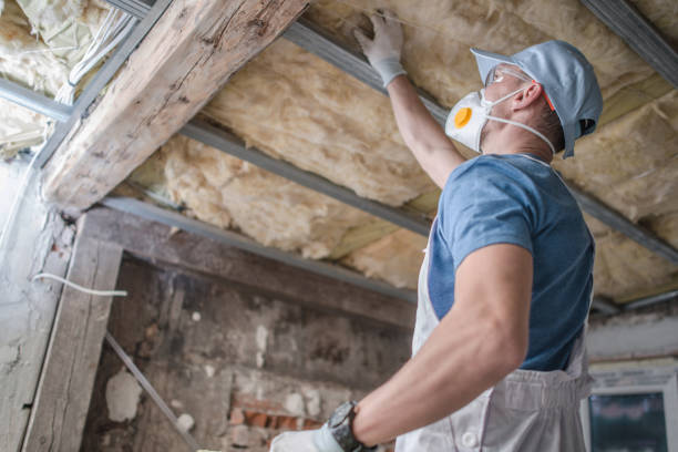 Best Geographic-Specific Insulation Services in Wellston, MO