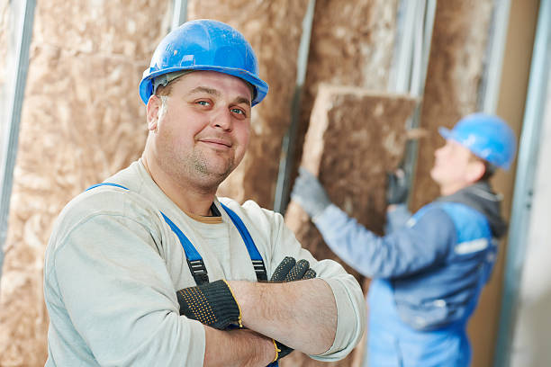 Best Insulation Maintenance and Repair in Wellston, MO